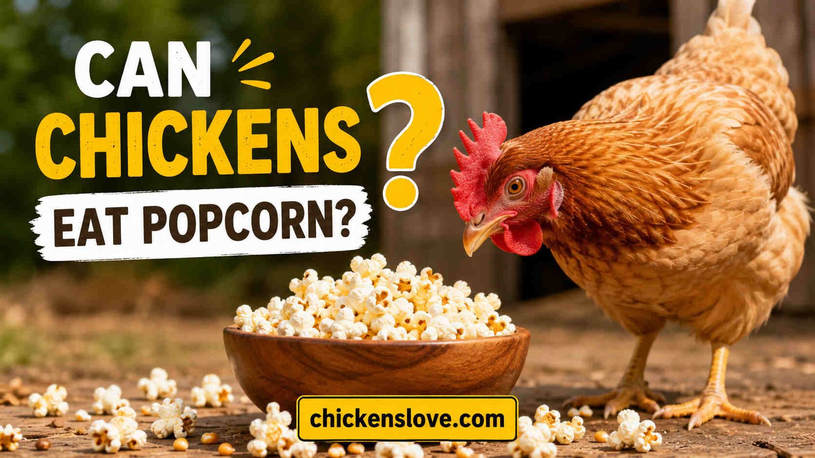 Can Chickens Eat Popcorn